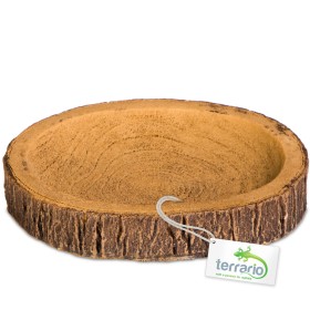 Terrario Tree Ring Bowl S